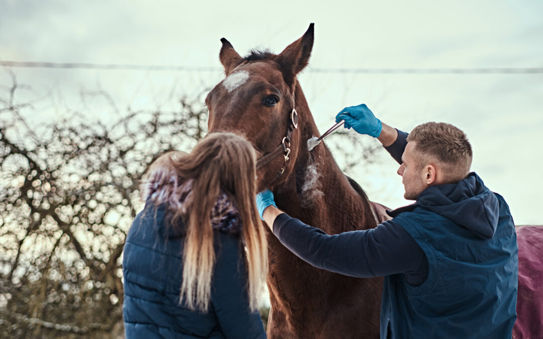 Medical Error of a Veterinarian in Treating a Horse in Poland – Liability for Damages